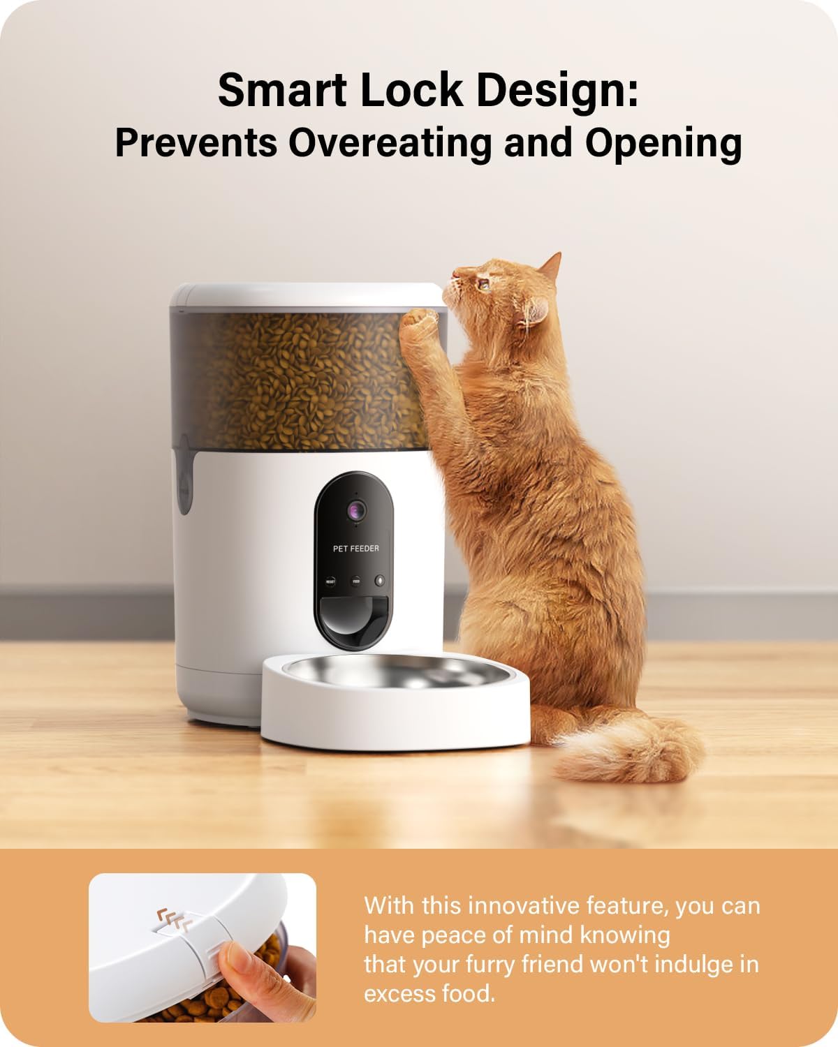 Hicreate Automatic Cat Food Dispenser with Camera