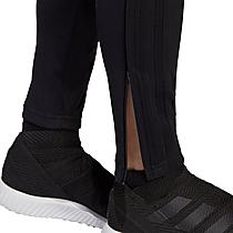 Women's adidas Tiro 19 Training Pants