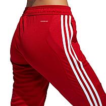 Women's adidas Tiro 19 Training Pants