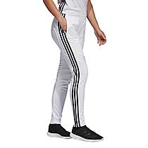 Women's adidas Tiro 19 Training Pants
