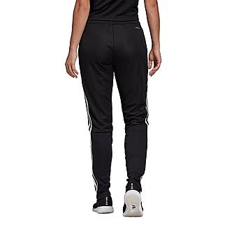 Women's adidas Tiro 19 Training Pants