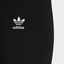 Women's adidas Originals Repeat Trefoil Leggings