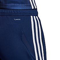 Women's adidas Tiro 19 Training Pants