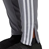 Women's adidas Tiro 19 Training Pants