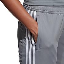 Women's adidas Tiro 19 Training Pants