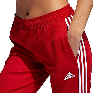 Women's adidas Tiro 19 Training Pants