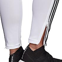 Women's adidas Tiro 19 Training Pants