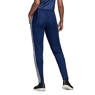 Women's adidas Tiro 19 Training Pants
