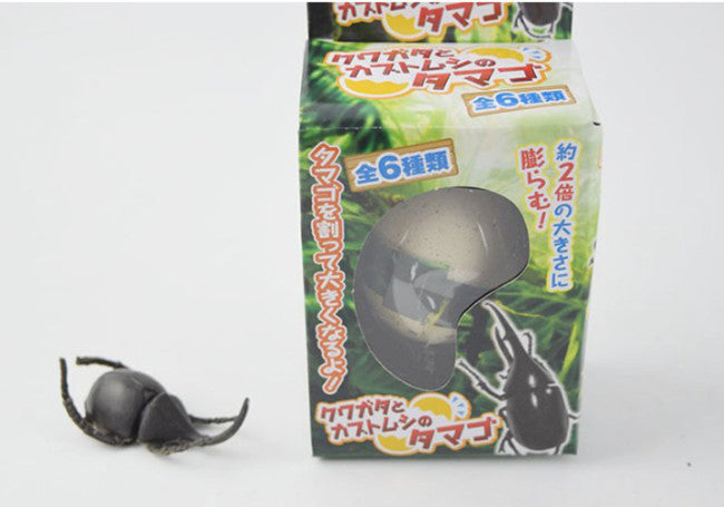 Magic Hatching Animal Egg - Beetle