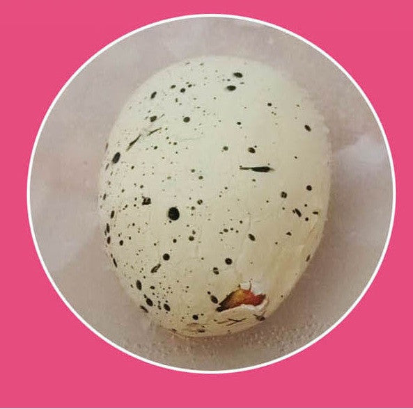 Hatching Animal Egg Toy - Dinosaur