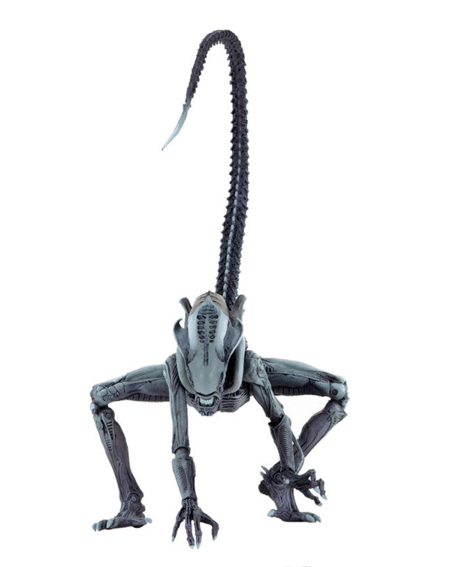 NECA - Aliens vs Predator Arcade Appearance 7 Inch Scale Action Figure Arachnoid