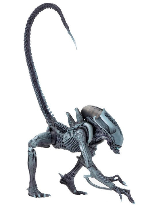 NECA - Aliens vs Predator Arcade Appearance 7 Inch Scale Action Figure Arachnoid
