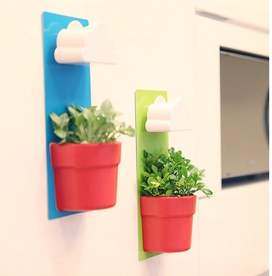 Cloud Living Wall Pot Plant