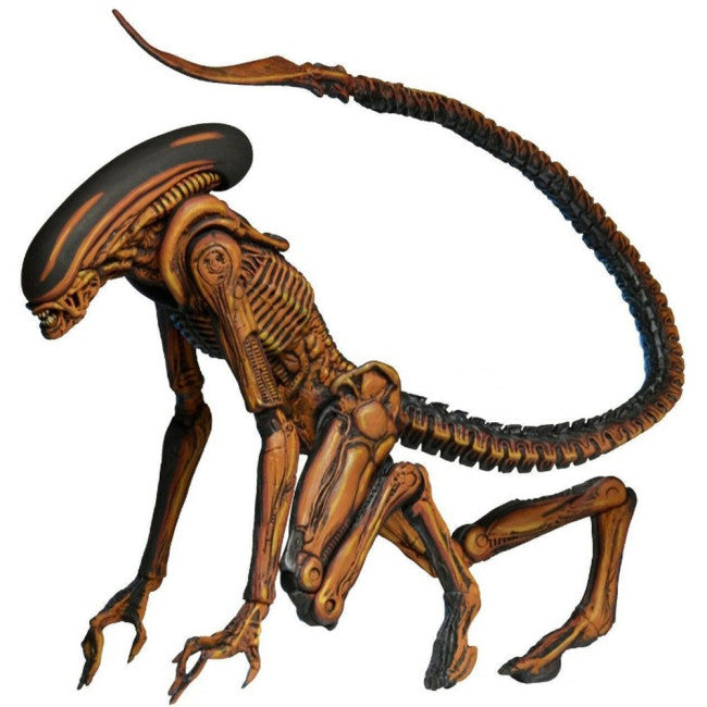 NECA Ultimate Dog Alien 7 Inches Scale Action Figure
