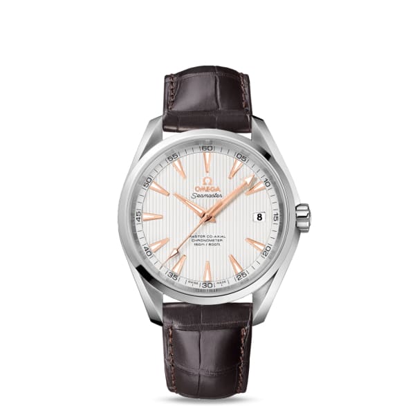 Seamaster Ref. # 231.13.42.21.02.003