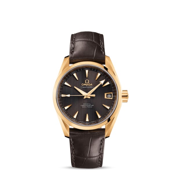 Seamaster Ref. # 231.53.39.21.06.002