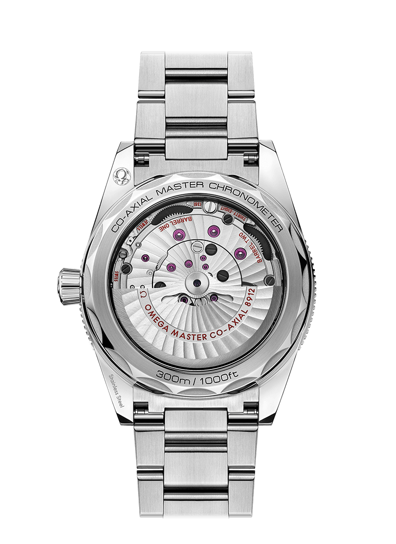 SEAMASTER 300 COAXIAL MASTER CHRONOMETER 41 MM 234.30.41.21.01.001