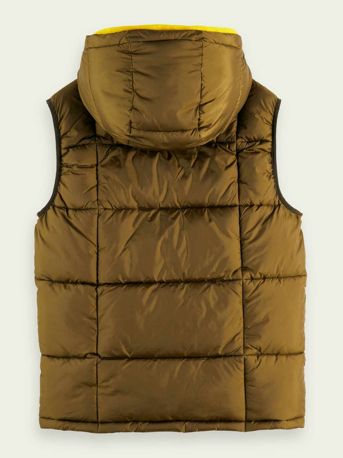 Hooded Quilted Bodywarmer | Scotch And Soda Outlet