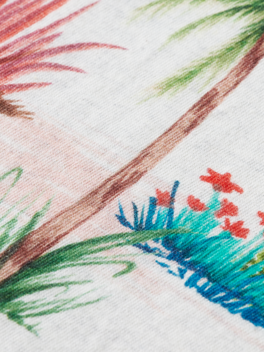 Regular Fit Printed Organic T-Shirt | Scotch And Soda Outlet