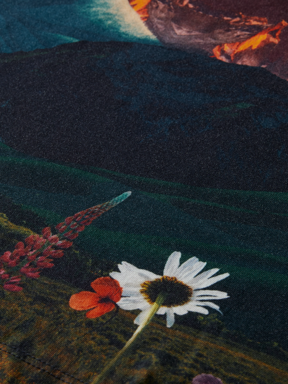 Printed T-Shirt | Scotch And Soda Outlet