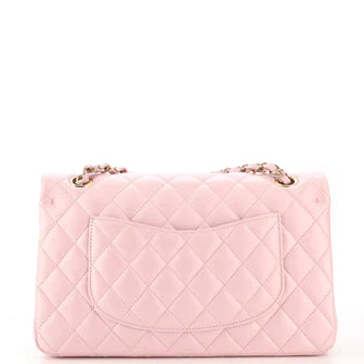 Chanel Classic Double Flap Bag Quilted Iridescent Calfskin Medium
