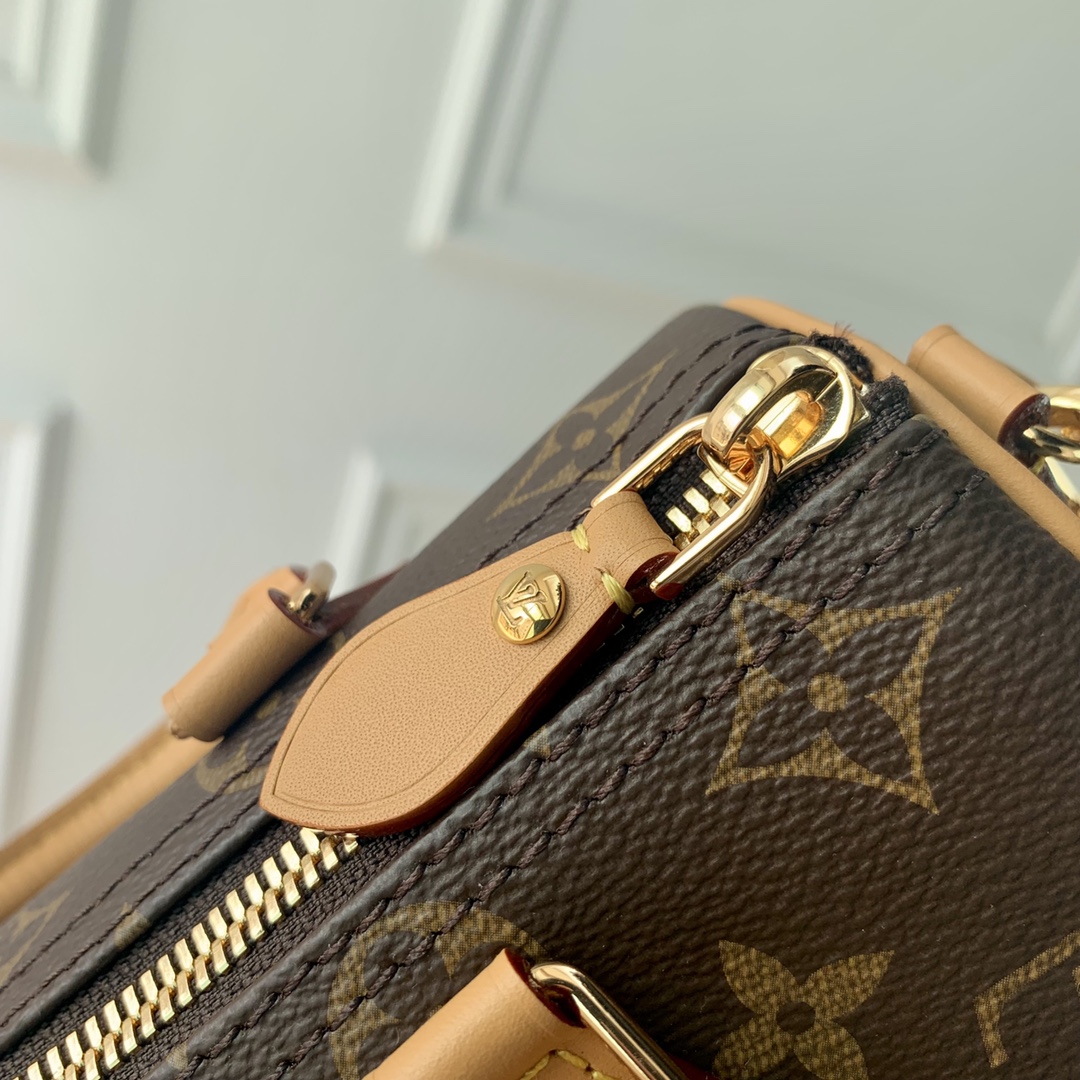 LV Speedy 20cm