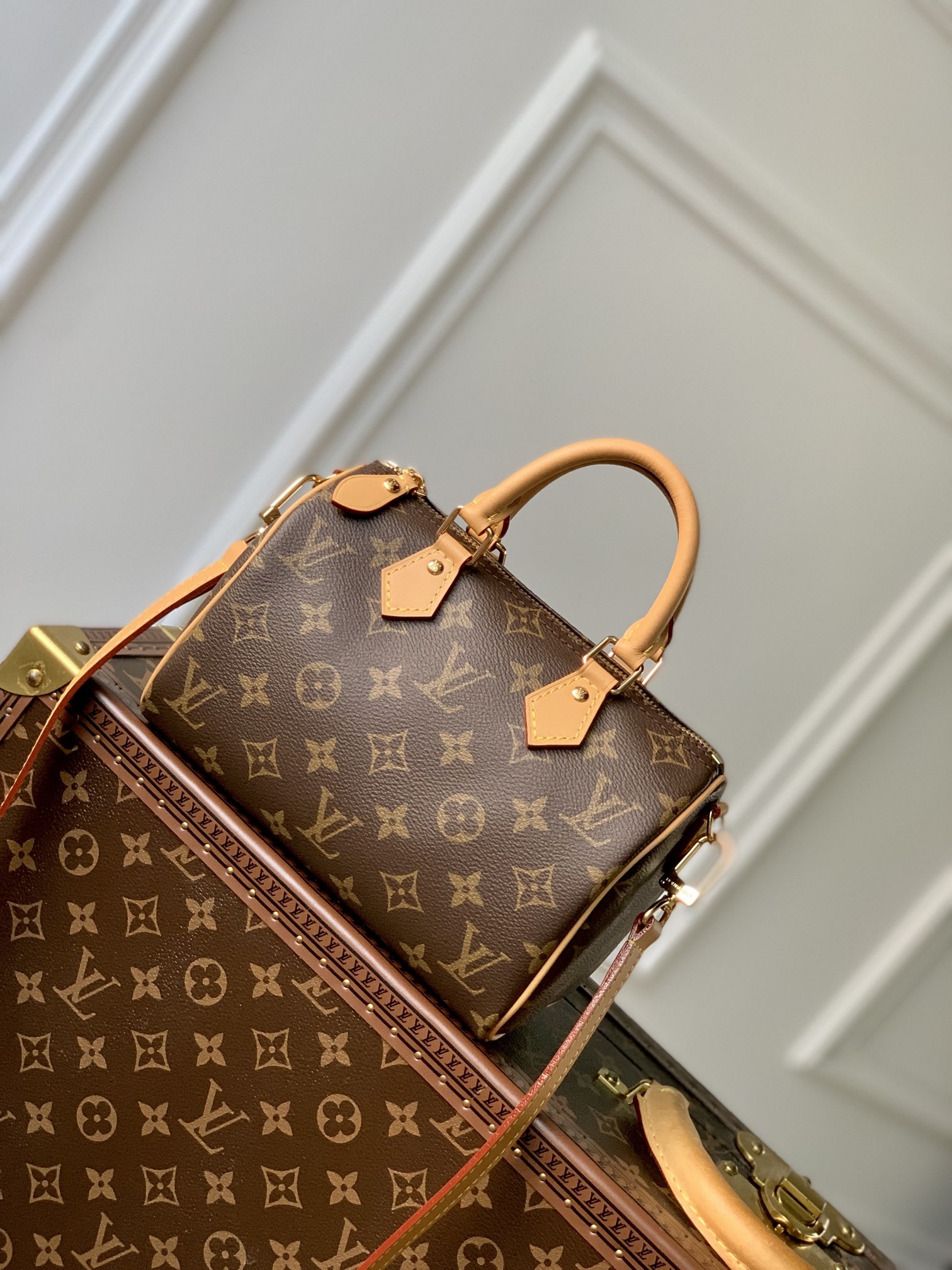 LV Speedy 20cm