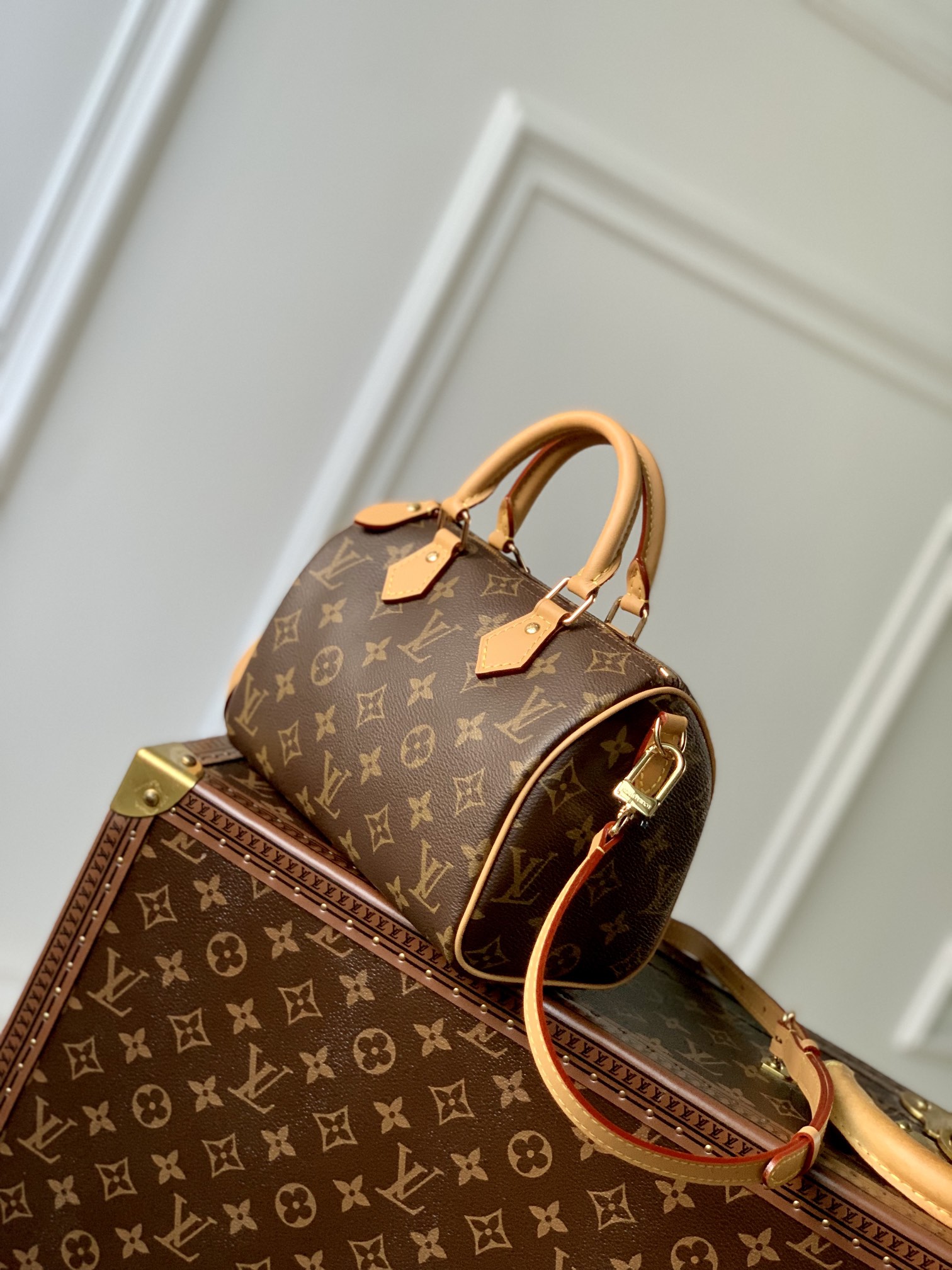 LV Speedy 20cm