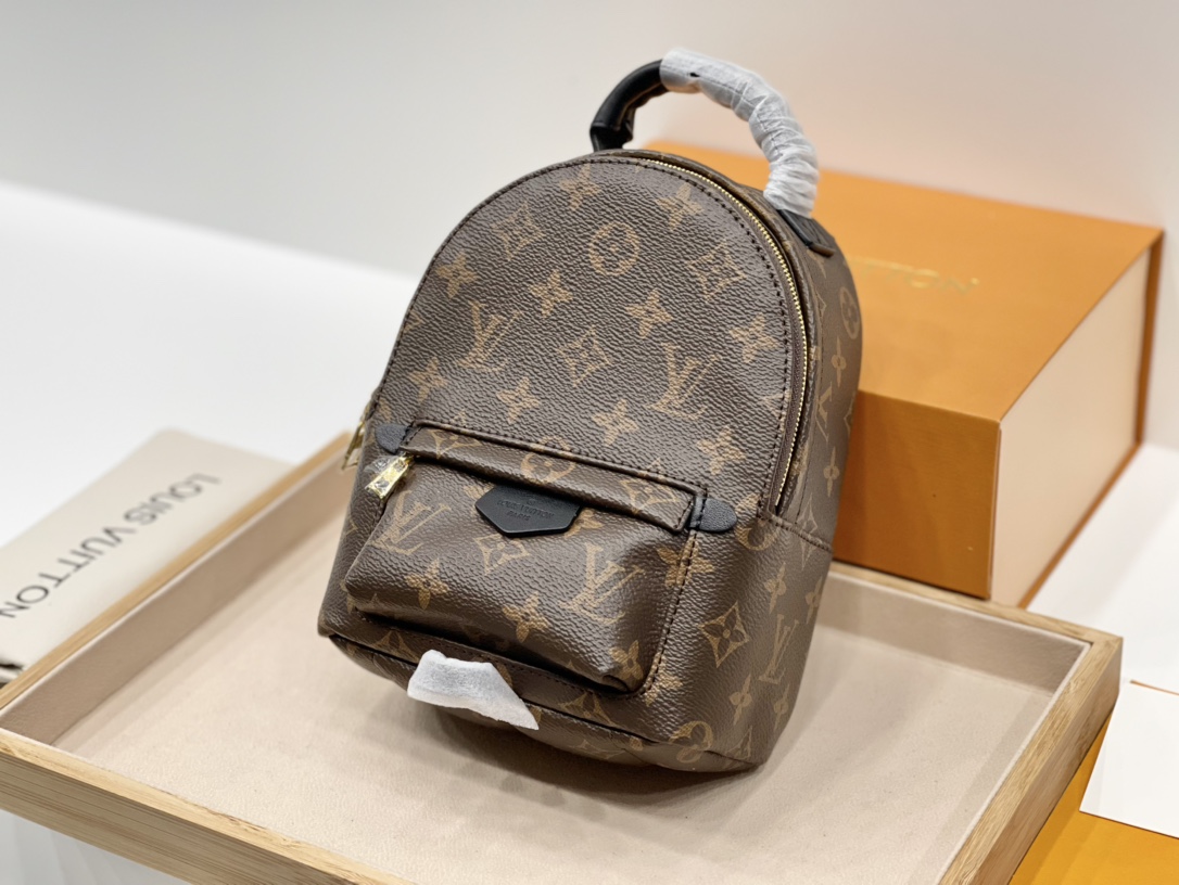 LV Palm Springs Mini M41562