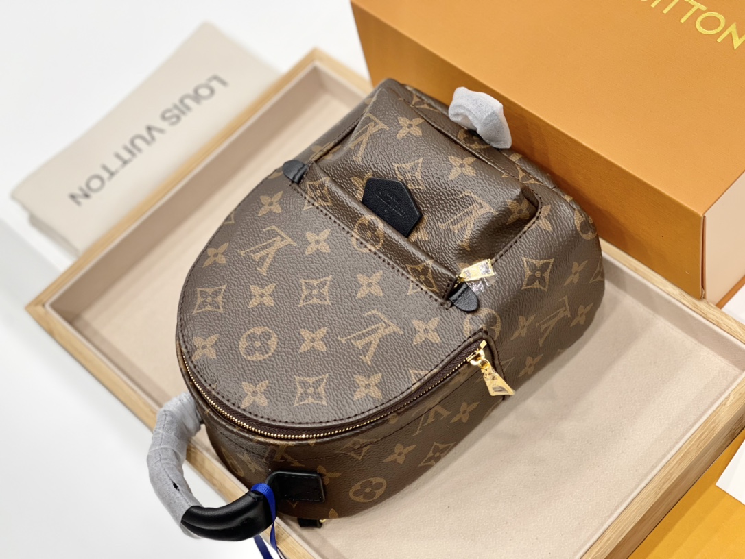 LV Palm Springs Mini M41562