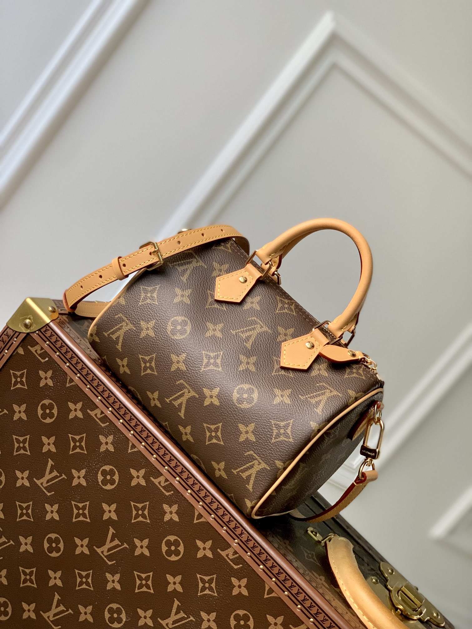 LV Speedy 20cm