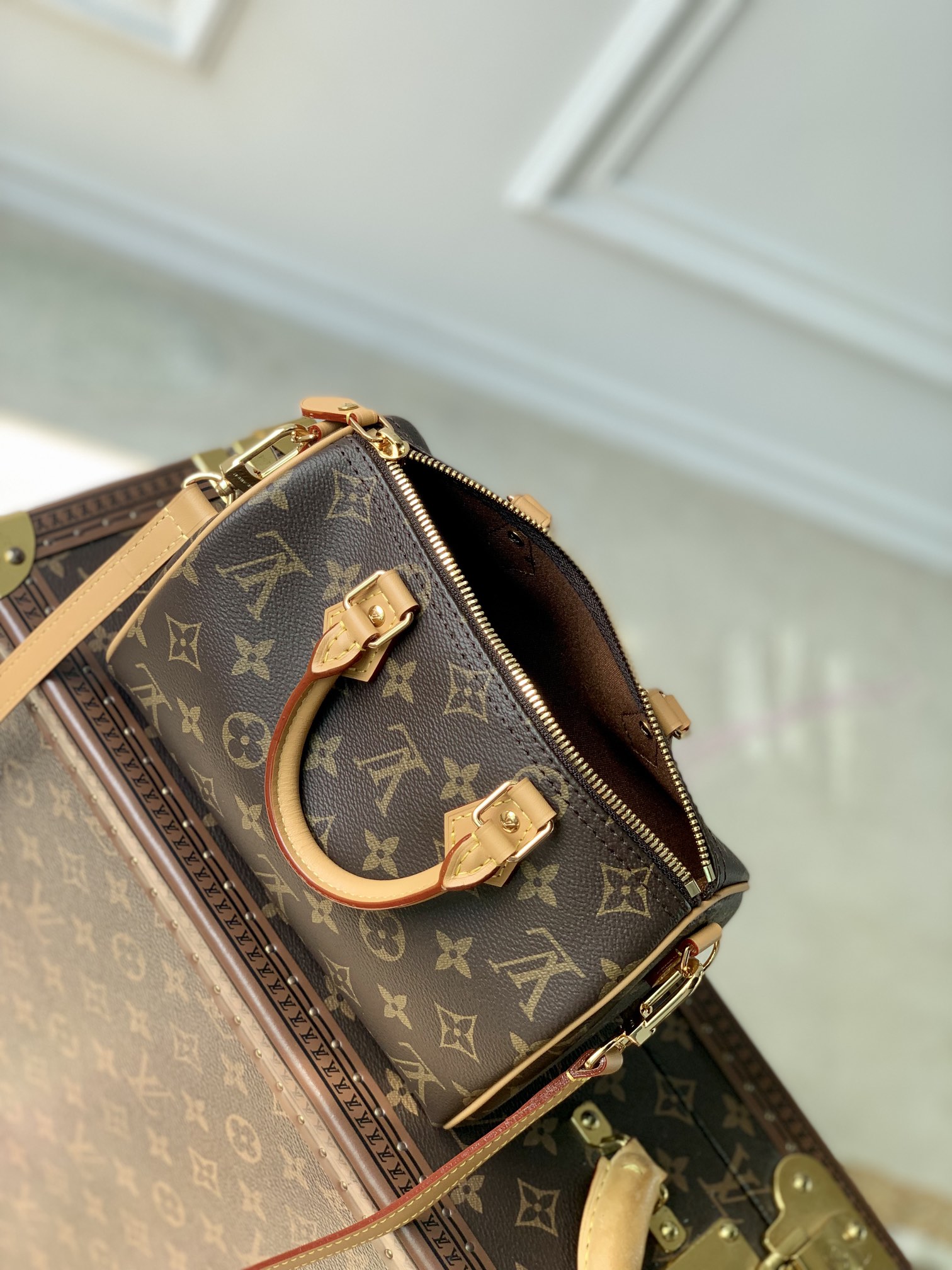 LV Speedy 20cm