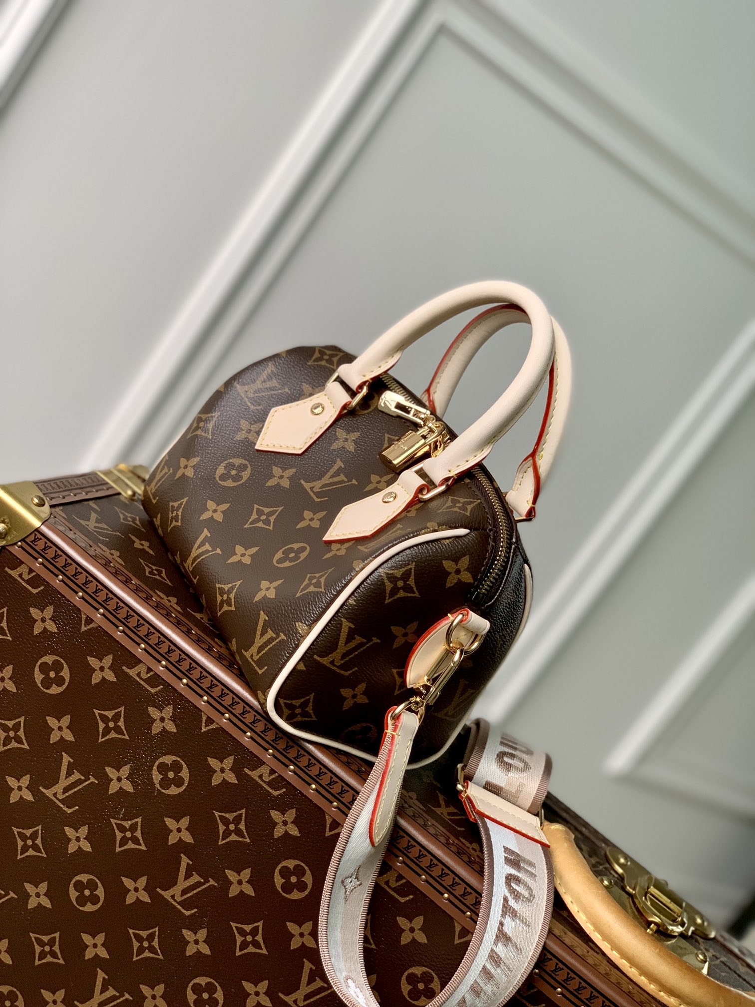 lv speedy 20cm