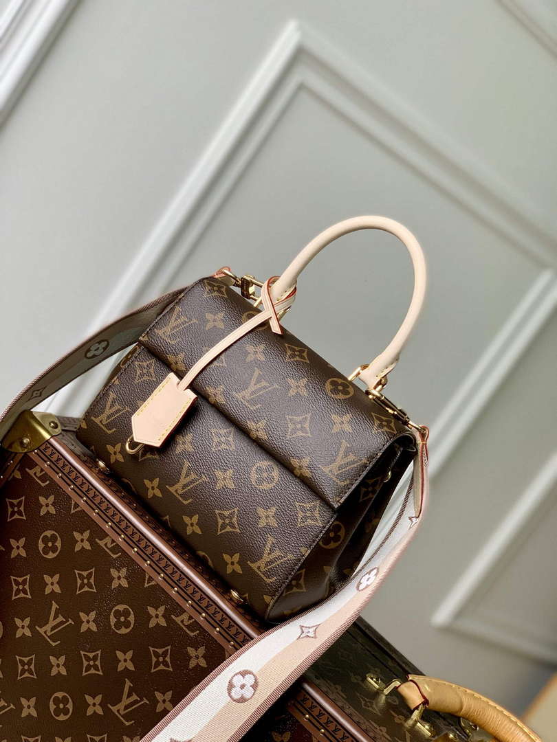 LV M46055 Louis Vuitton Cluny Mini Handbag