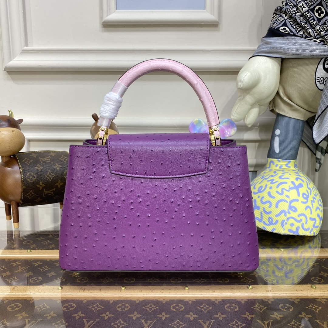 LV N81279 Louis Vuitton Capucines MM Handbag Purple