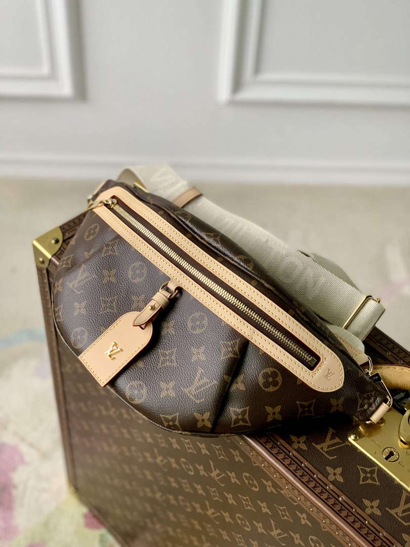 LV M46784 Louis Vuitton High Rise Bumbag