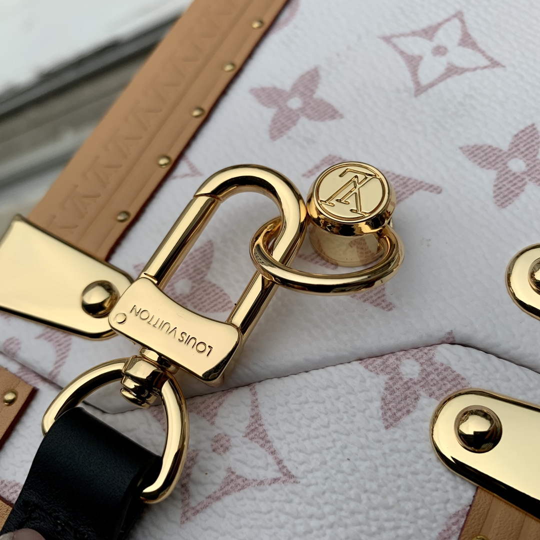LV M10079 Louis Vuitton Camera Box Handbag White