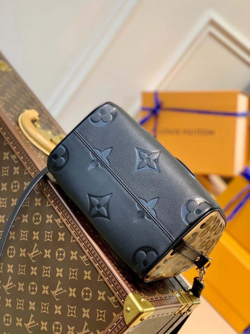 Louis Vuitton LV M58524 Speedy Bandouli��re 25 Handbag Black