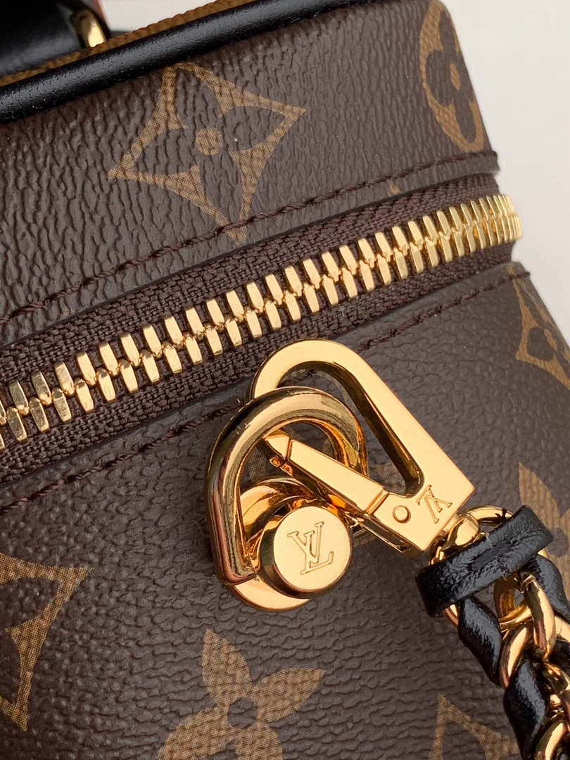 LV M45165 Louis Vuitton Vanity Pm Monogram Bag