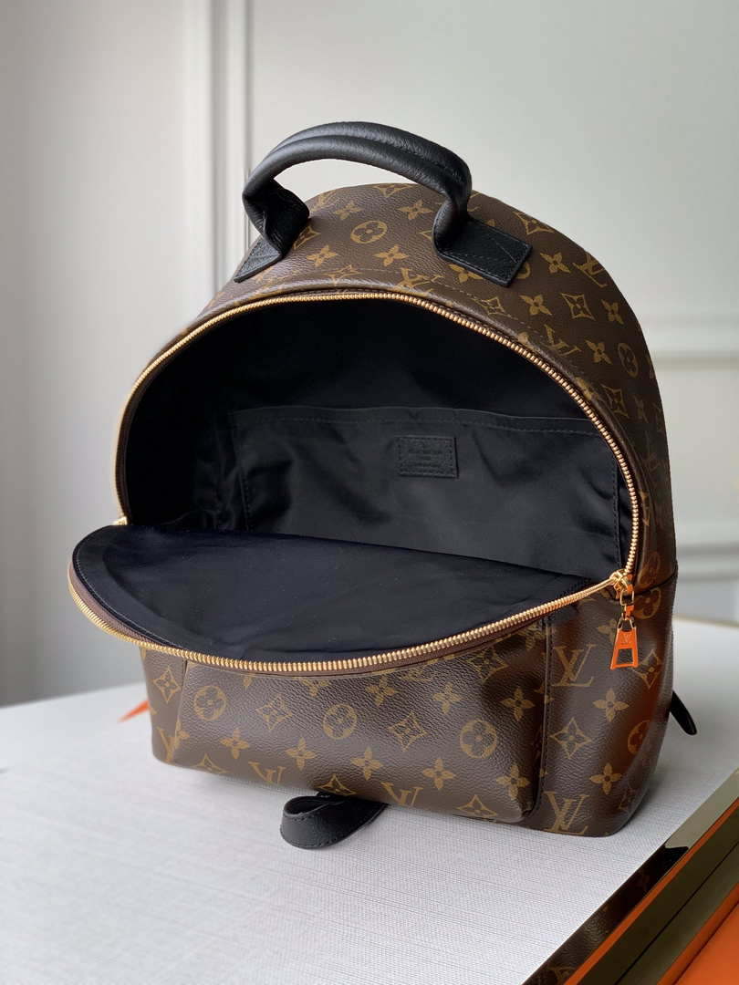 LV M44874 Louis Vuitton Palm Springs MM Monogram Bag