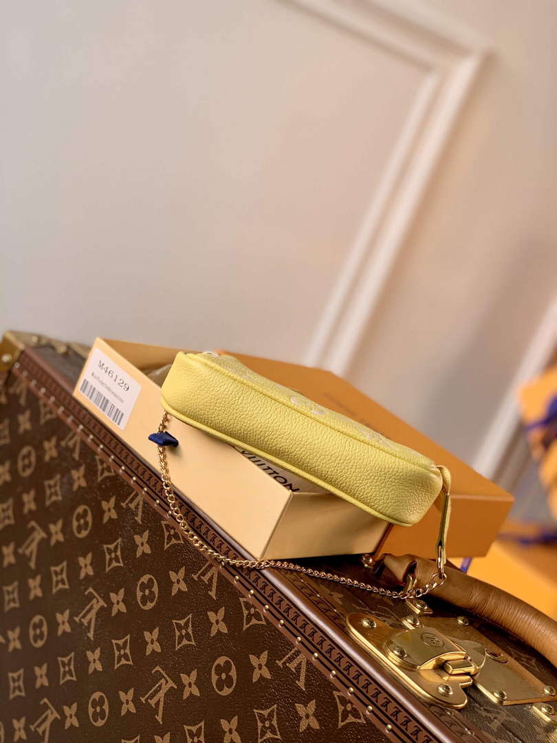 LV M46129 Louis Vuitton Mini Pochette Accessoires