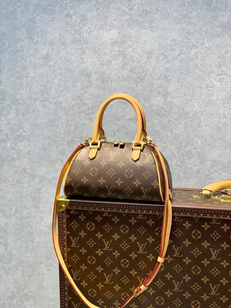 LV M50202 Louis Vuitton Ribera Mini Boston Handbag