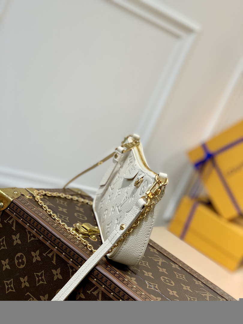 Louis Vuitton M81066 LV Easy Pouch ON Strap Monogram Bag