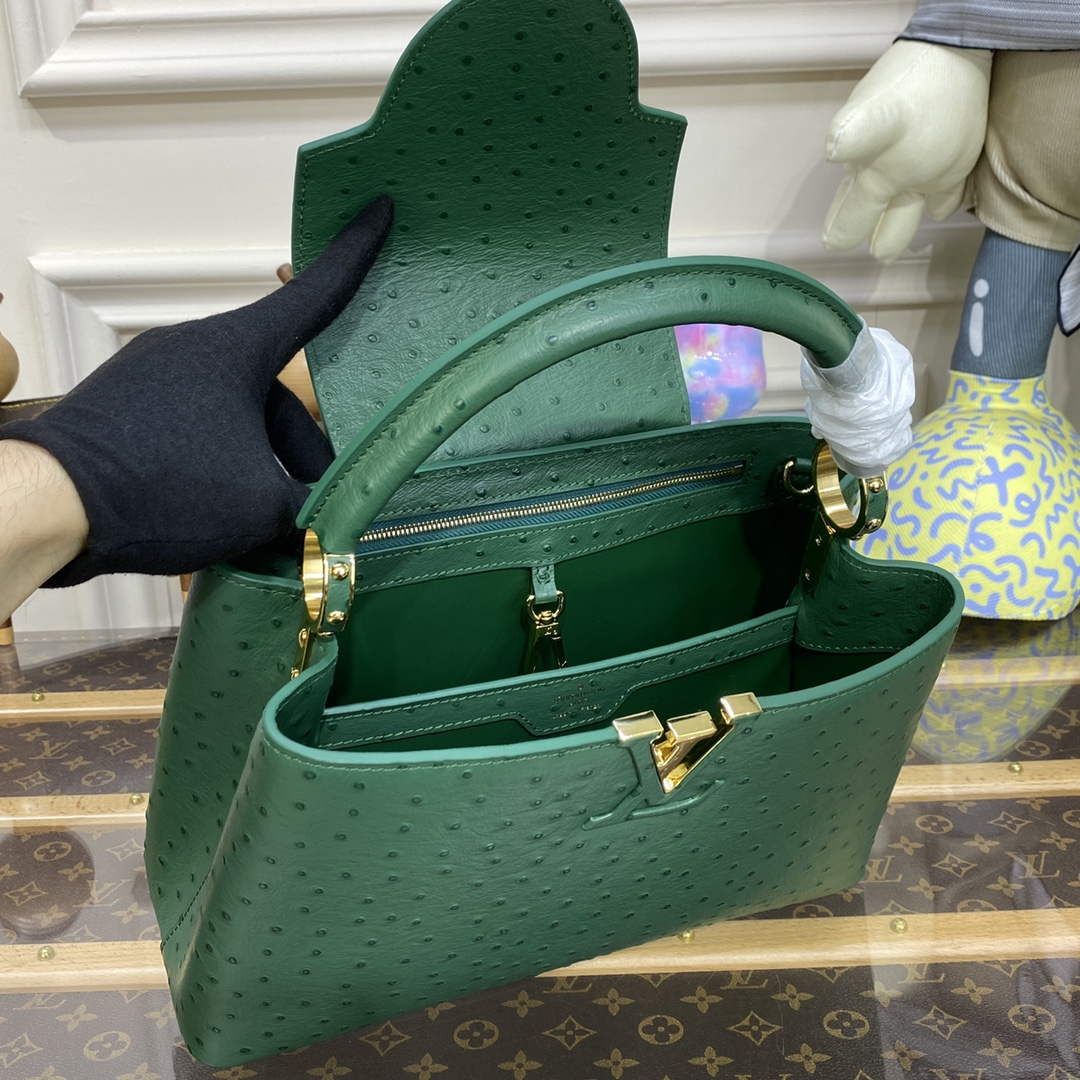 LV N93075 Louis Vuitton Capucines MM Handbag Mint Green