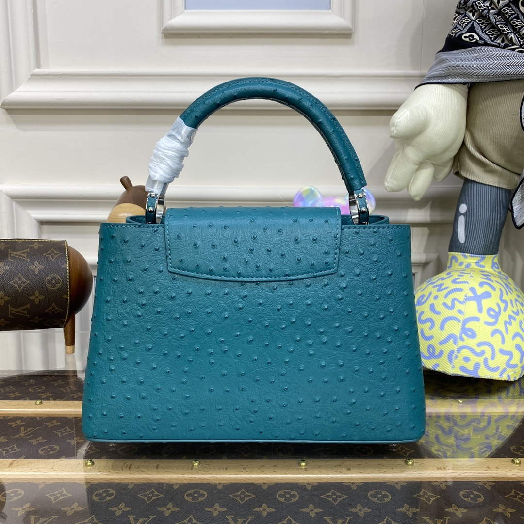 LV N81279 Louis Vuitton Capucines MM Handbag Lake blue