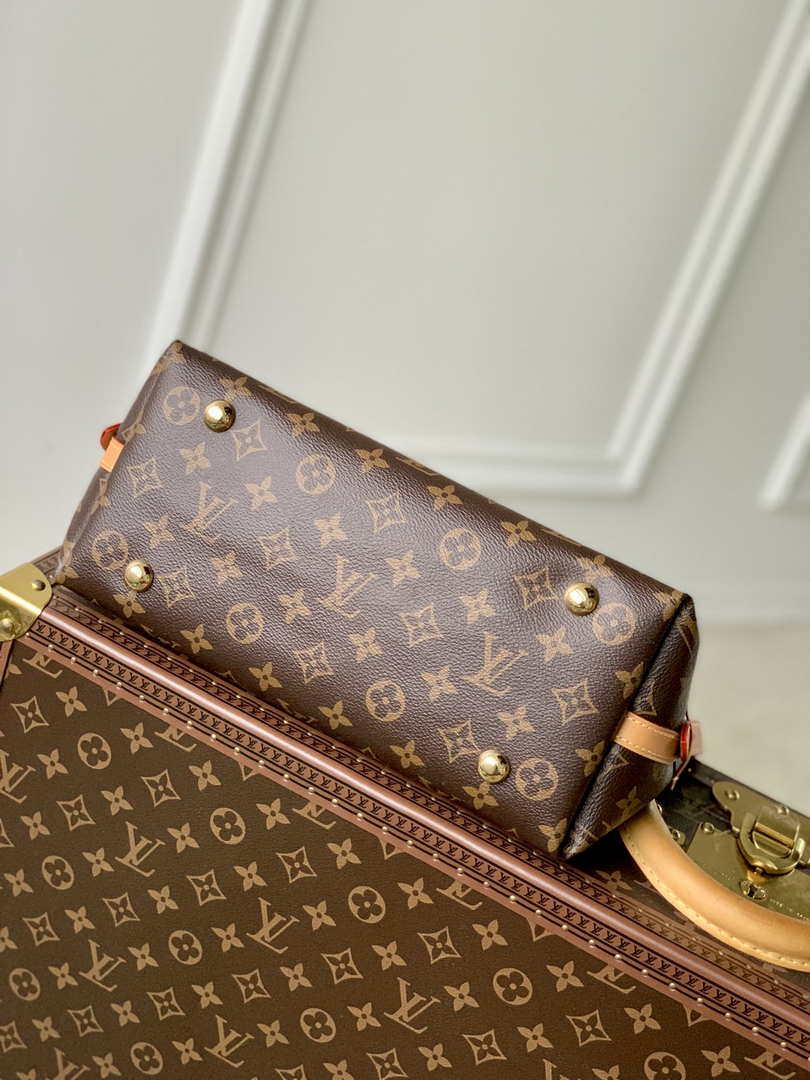 Louis Vuitton LV M46203 Carryall PM Monogram
