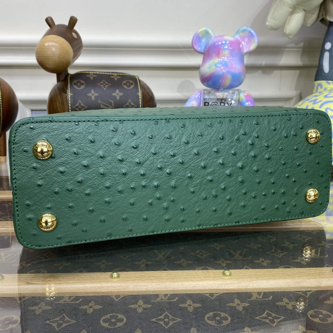 LV N93075 Louis Vuitton Capucines MM Handbag Mint Green