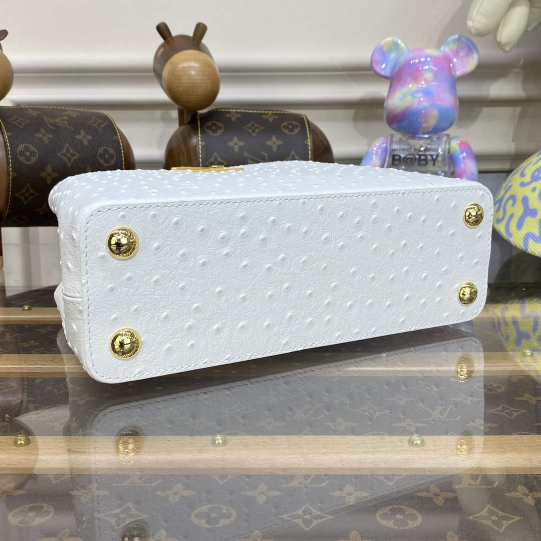LV N81523 Louis Vuitton Capucines BB Handbag White