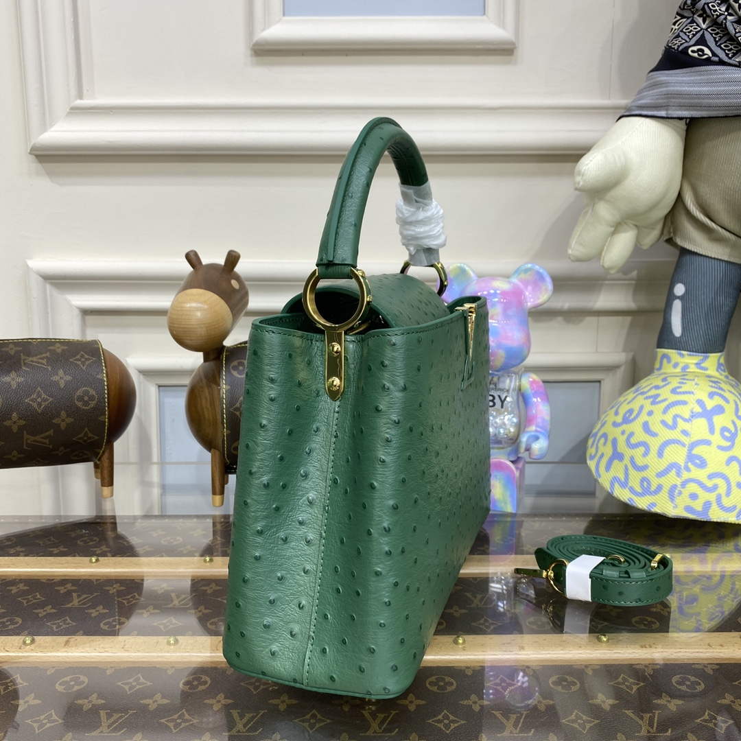 LV N93075 Louis Vuitton Capucines MM Handbag Mint Green