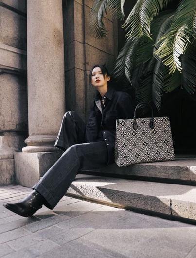 LV M57207 Louis Vuitton M57185 Since 1854 Onthego Gm Monogram Jacquard Gray